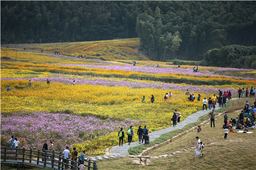 梅岭曼山谷景区第 25 张图片