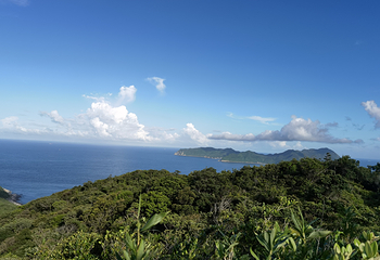 大鹏半岛第 56 张图片