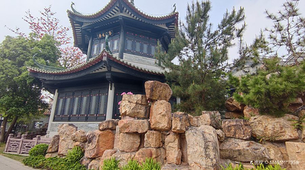 多宝路第 1 张图片