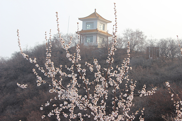北京药王谷风景区第 53 张图片