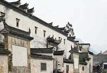 朱旺村第 10 张图片