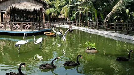 三亚春光椰子文化观光园第 1 张图片