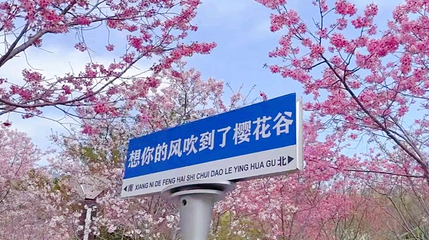 玉潭樱花谷景区第 1 张图片