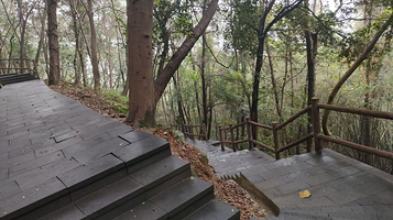 铁山坪森林公园-九道拐