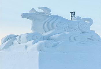 哈尔滨外滩雪人码头第 48 张图片