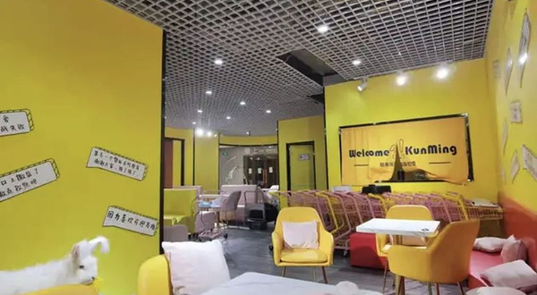 昆明安哥拉巨兔体验馆