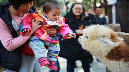 东湖海洋乐园第 8 张图片