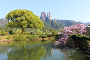 江郎山风景名胜区第 68 张图片