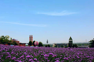 音乐百花谷第 58 张图片