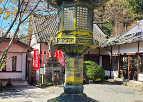 修善寺自然公園 もみじ林