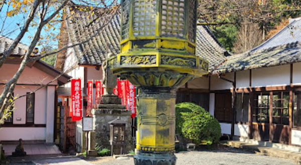 修善寺自然公園 もみじ林