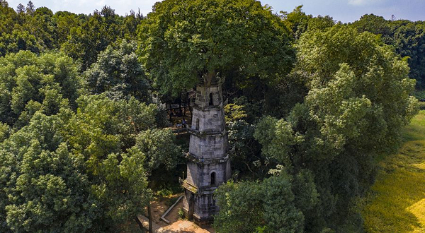 茶亭花海-惜字塔