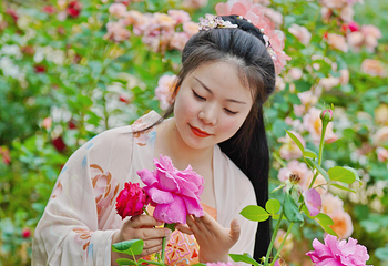 花田厝鲜花艺术小镇第 21 张图片