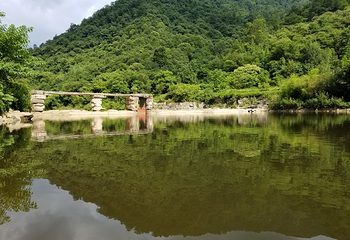 阳坝自然风景区第 10 张图片