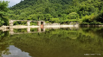陇南阳坝梅园沟第 5 张图片