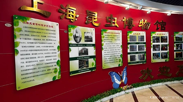 上海昆虫博物馆