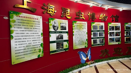 上海昆虫博物馆第 1 张图片