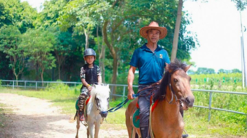 小农街马场乐园