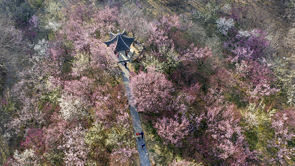 茱萸湾风景区第 14 张图片