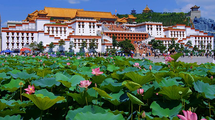 布达拉宫广场第 1 张图片