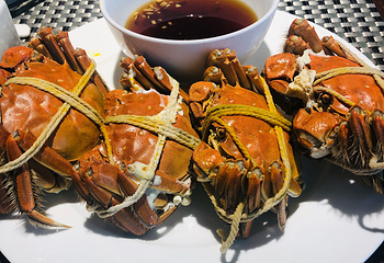 苏州0572太湖温泉酒店·餐厅第 6 张图片
