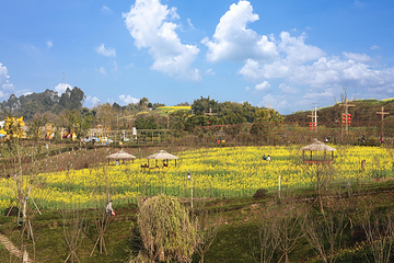 蓝城春风桃源桃源农场第 5 张图片