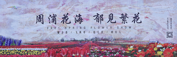 周浦花海第 59 张图片