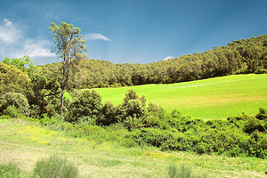 克塞罗拉自然公园