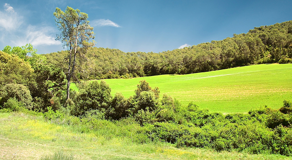 克塞罗拉自然公园
