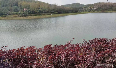 莲花山景区第 1 张图片