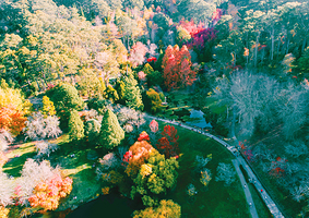 洛夫蒂山植物园
