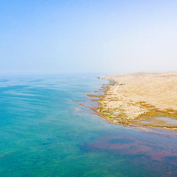 博斯腾湖-白鹭洲