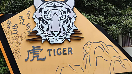 红山森林动物园-新虎园第 1 张图片