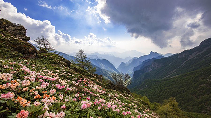 秦岭第 1 张图片