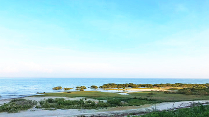 北海金海湾红树林生态旅游区第 46 张图片
