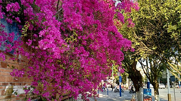瑞丽旅游步行街