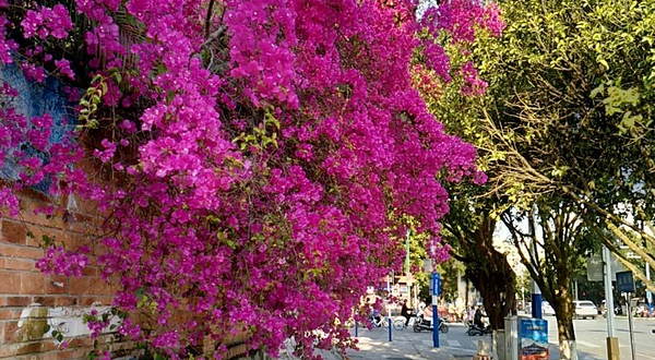 瑞丽旅游步行街