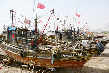 任家台赶海园第 3 张图片