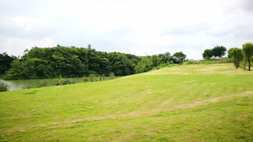 龙船花谷综合营地