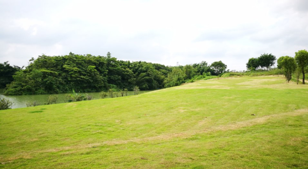 龙船花谷综合营地