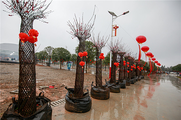 衡阳花奇里生态旅游区第 8 张图片
