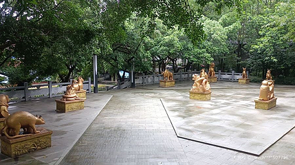鹤鸣山景区第 1 张图片
