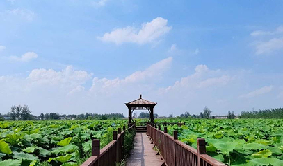 三汊河国家湿地公园第 1 张图片
