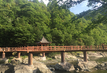 阳坝自然风景区第 9 张图片