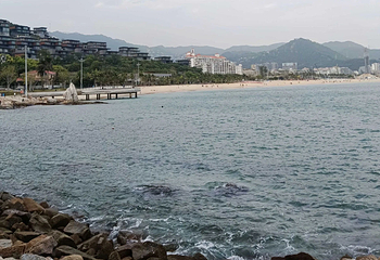 大梅沙海滩第 17 张图片
