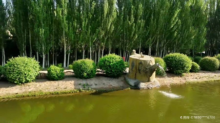 北郊公园第 1 张图片