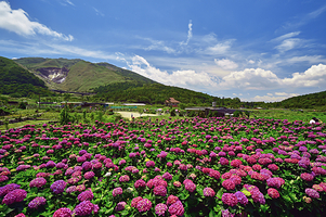 阳明山国家公园