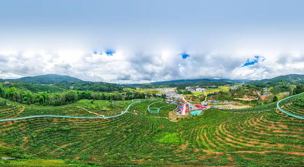 清河茶文化研学景区