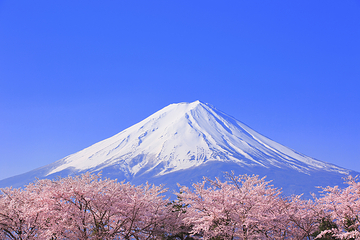 富士山五合目第 9 张图片