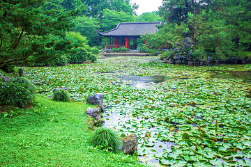 西湖风景名胜区第 263 张图片